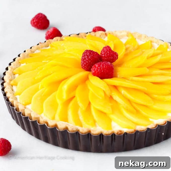 Sunshine Mango Coconut Tart 4 Overhead view of a Coconut Mango Tart with artfully arranged mango slices