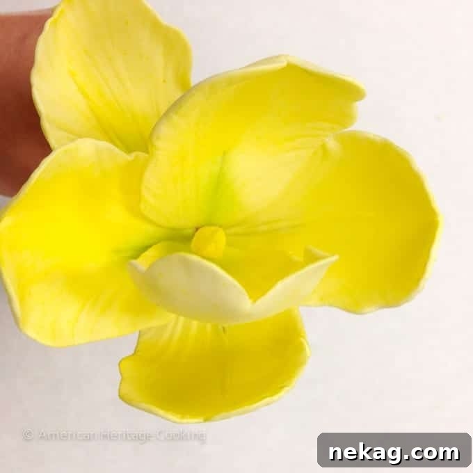 Kitchen Chronicles: Episode Four 2 Culinary School Update 4 - Sugar Paste Tulip