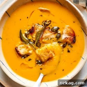 Velvety orange squash soup displayed elegantly in a clean white bowl, garnished with a sprinkle of herbs and black pepper, perfect for cozy autumn and winter dinners.