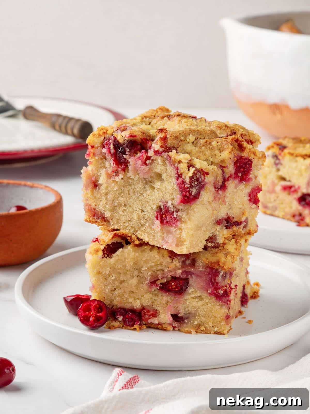 Jeweled Cranberry Cake 2 Two generous slices of fluffy cranberry cake stacked to showcase layers of tart berries and its soft, moist texture, ready to be enjoyed.