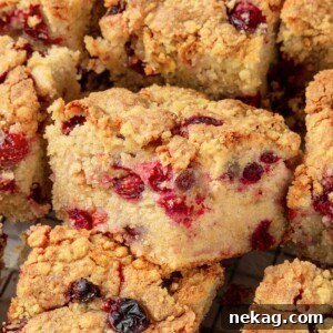 Slices of cranberry cake showcasing a crisp brown sugar streusel over its tender, cranberry-filled crumb.
