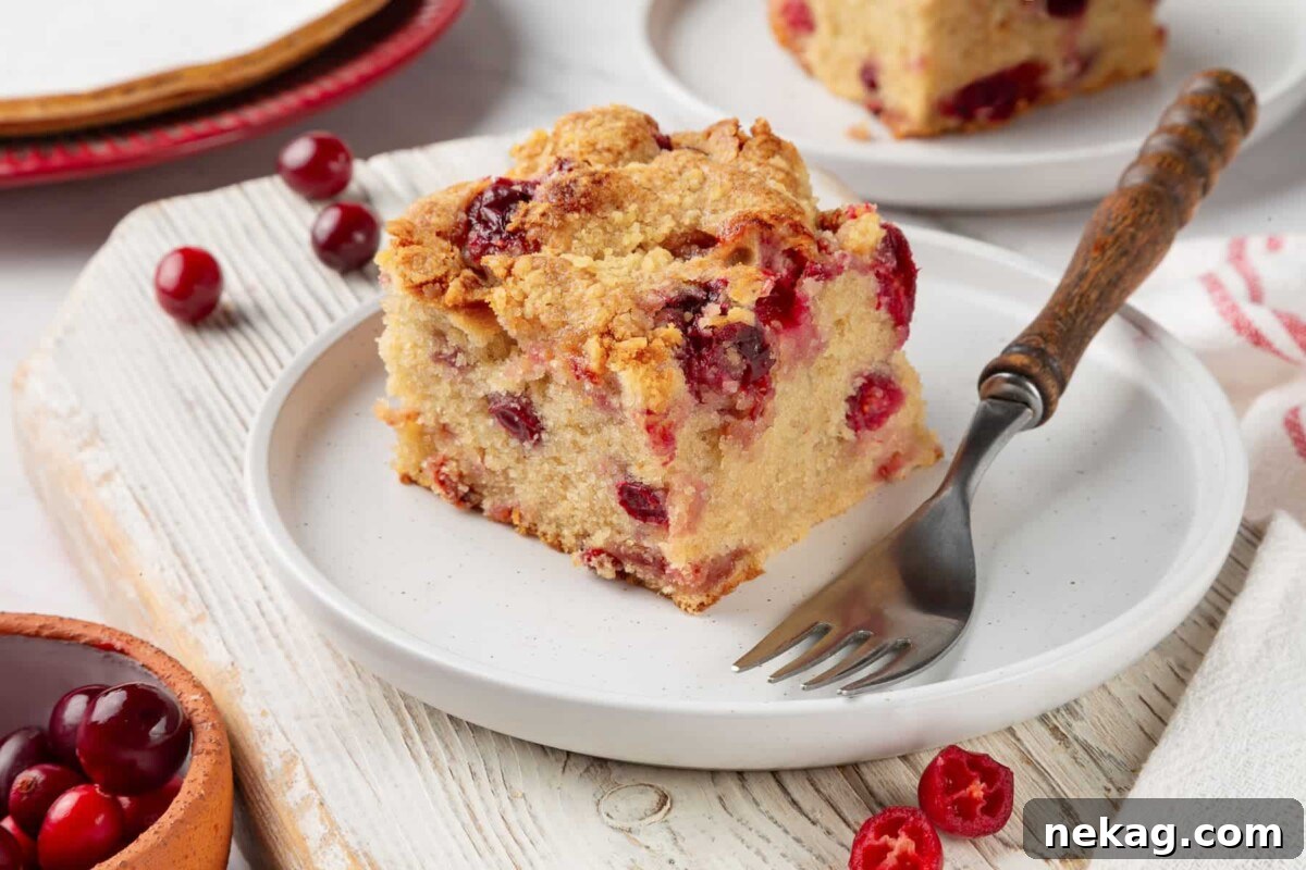 Jeweled Cranberry Cake 4 A perfectly baked slice of cranberry cake sits on a crisp white plate, showcasing its tender crumb, moist interior, and evenly distributed baked cranberries.
