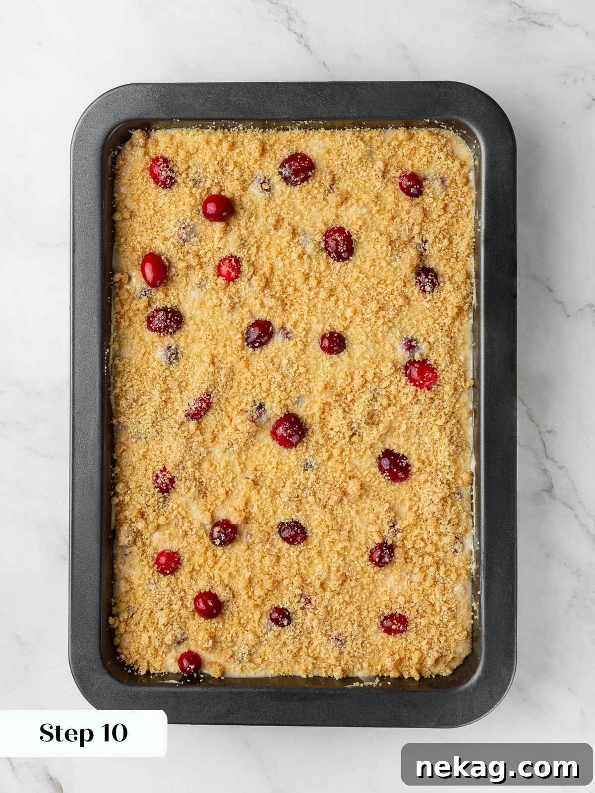 Jeweled Cranberry Cake 9 Cake batter generously topped with a brown sugar streusel and bright cranberries, perfectly prepared before baking.
