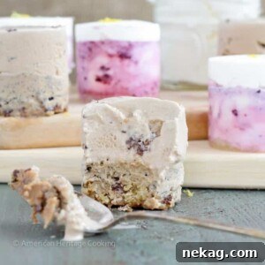 Ice Cream Cookie Stacks with layered ice cream and cookies.