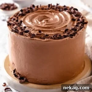 A full round cake completely coated in chocolate Swiss meringue buttercream.