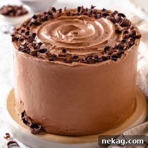 A full round cake completely coated in luscious chocolate Swiss meringue buttercream, ready to be served.