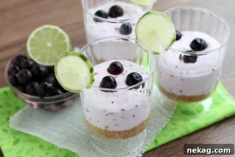 Zesty Blueberry Lime No-Bake Treats 3 Blueberry Lime No-Bake Cheesecake Cups with fresh blueberries