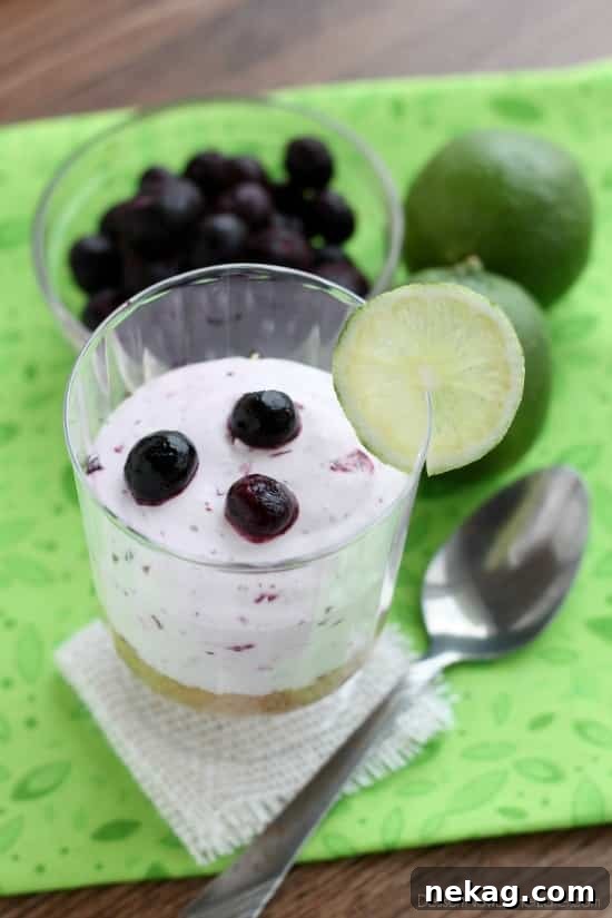 Zesty Blueberry Lime No-Bake Treats 4 Creamy Blueberry Lime No-Bake Cheesecake Filling