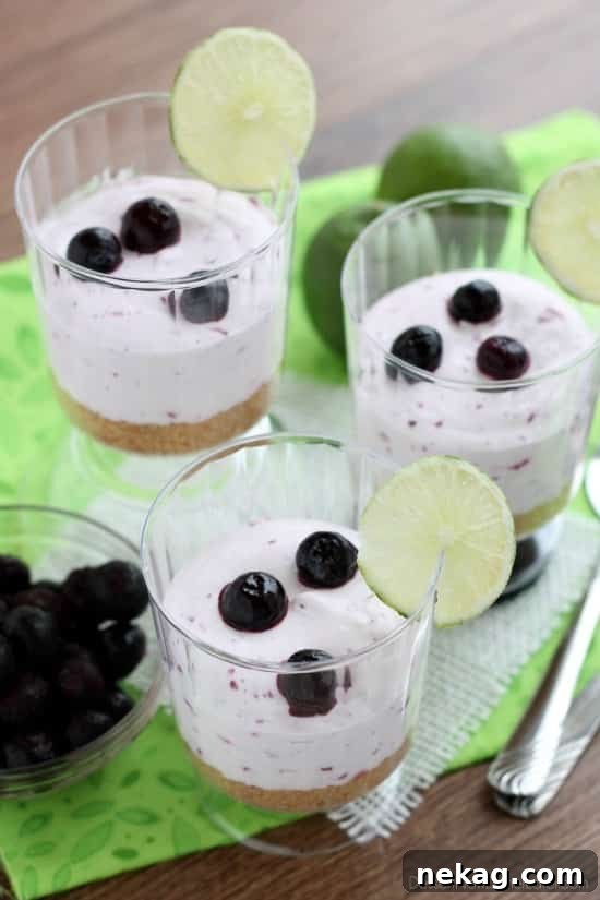 Zesty Blueberry Lime No-Bake Treats 6 Stacked Blueberry Lime No-Bake Cheesecake Cups