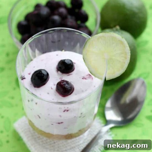 Blueberry Lime No-Bake Cheesecake Cups