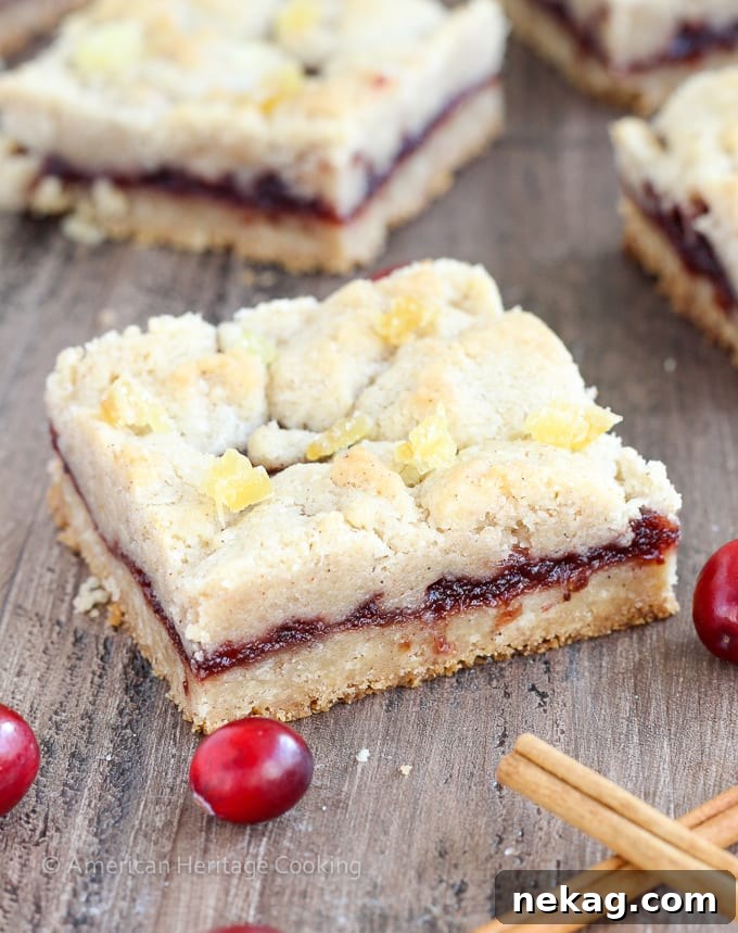 Spiced Cranberry Crumble Bars 2 Delicious Cranberry Cinnamon Jam Bars with a golden streusel crust and vibrant red cranberry filling, perfect for Christmas baking.