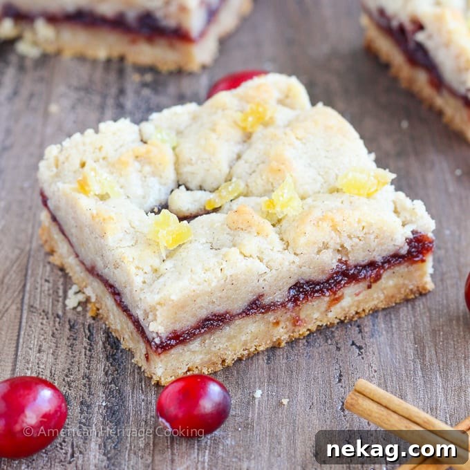 Spiced Cranberry Crumble Bars 5 Close-up of a single Cranberry Cinnamon Jam Bar, highlighting the texture of the streusel and the rich red filling with golden crumbs.