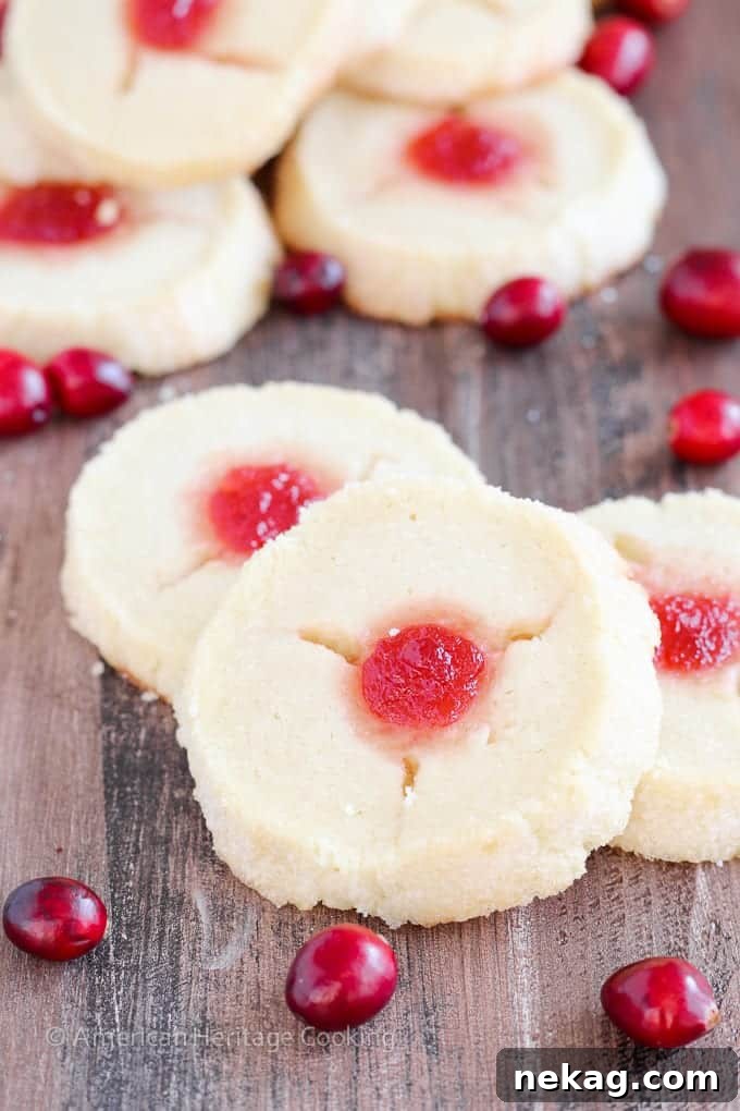 Yuletide Jammy Treasures 4 Two freshly baked Cranberry Thumbprint Cookies showcasing their vibrant Moscato cranberry jam filling.