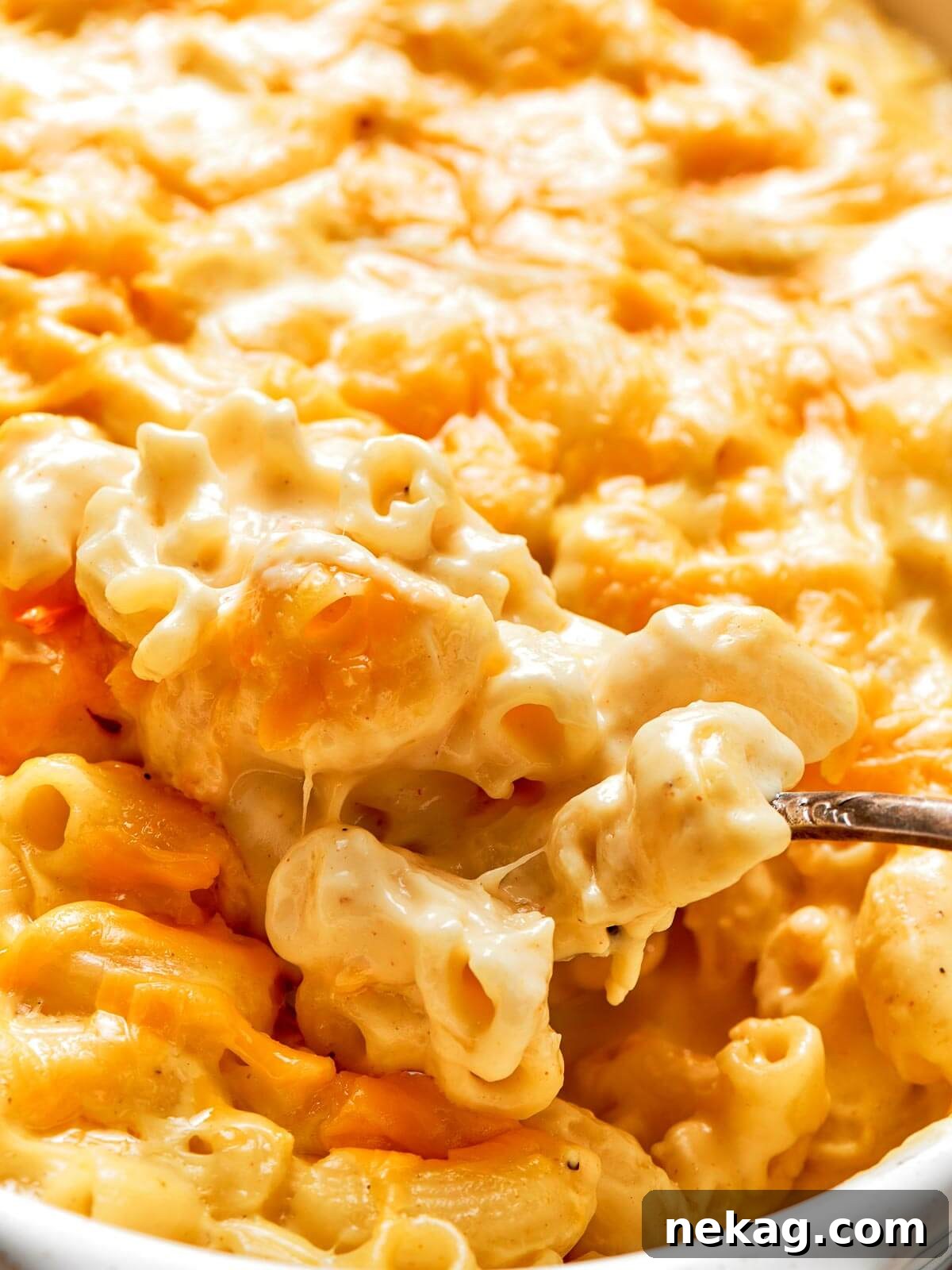 Ultimate Baked Mac and Cheese 17 A gorgeous, golden-brown dish of baked mac and cheese, bubbling hot from the oven, with a crispy top and creamy interior.