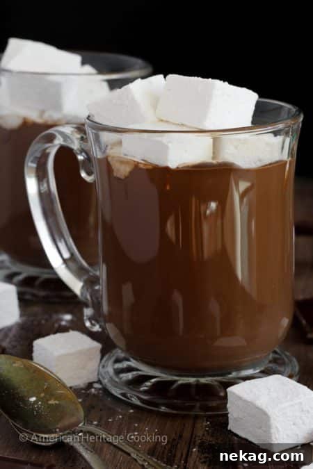 A steaming mug of the best hot chocolate, rich, creamy, and garnished with marshmallows.