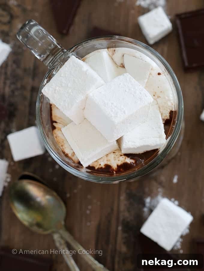 Close-up of the best hot chocolate, highlighting its thick, smooth texture and the melted marshmallows on top.