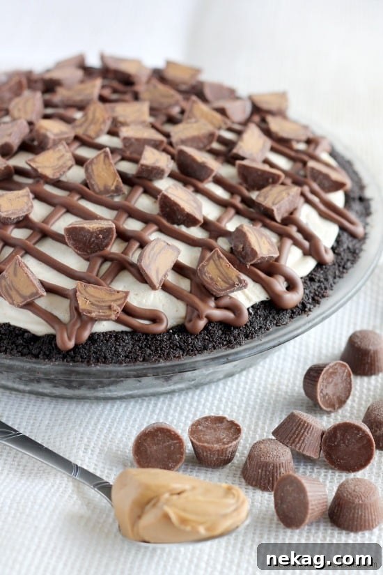 Peanut Butter Cup Icebox Pie 5 Slice of Frozen Peanut Butter Cup Pie