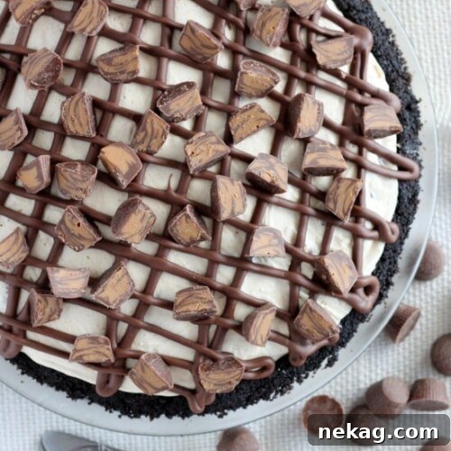 Frozen Peanut Butter Cup Pie