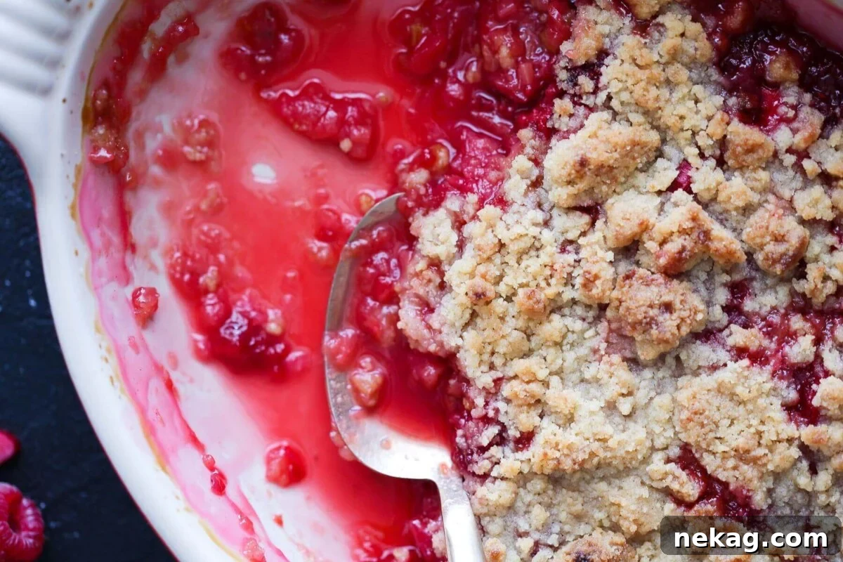 Tangy Raspberry Rhubarb Delight 3 Raspberry rhubarb crisp baked in a white ceramic dish with a golden brown topping, showing perfect bake and bubbly edges.
