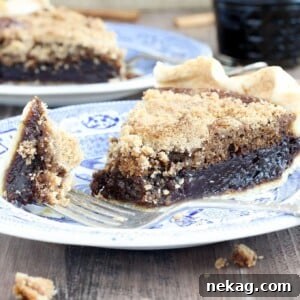 Shoofly Pie Forkful
