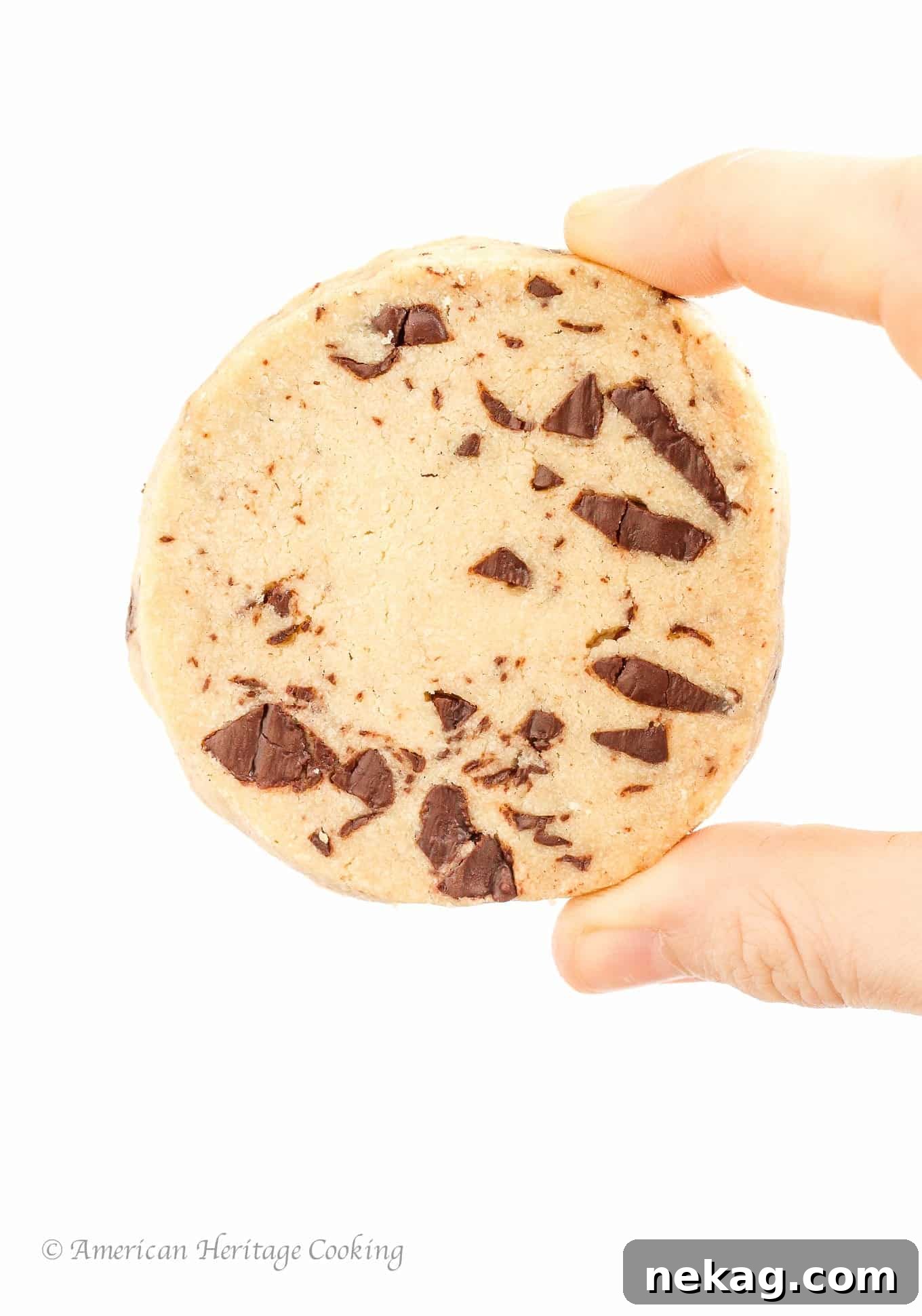 Divine Chocolate Chip Shortbread 3 A beautifully baked chocolate chip shortbread cookie, held in a hand, showcasing its perfect golden-brown edges and rich chocolatey interior.