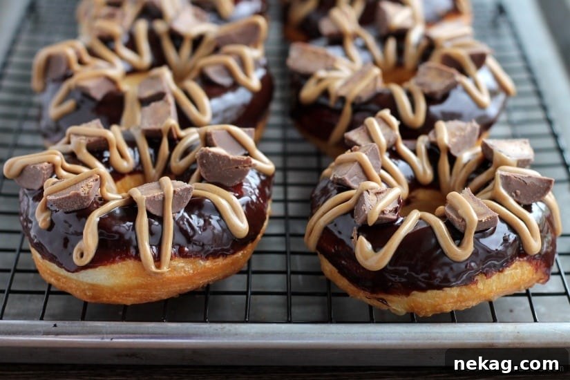 Close-up shot of Chocolate Peanut Butter Cup Donuts on a cooling rack, showing the details of the toppings.