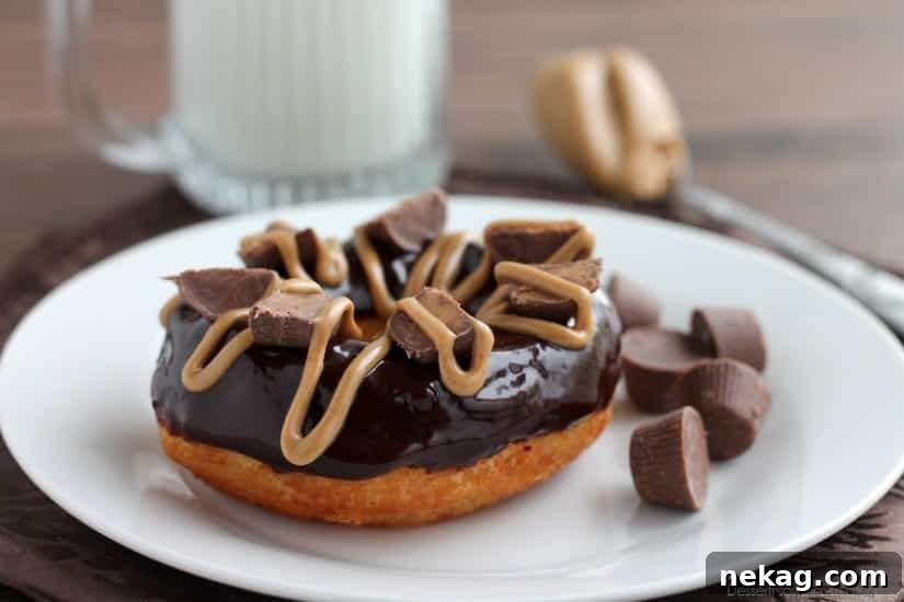 Variety of Chocolate Peanut Butter Cup Donuts displayed attractively.