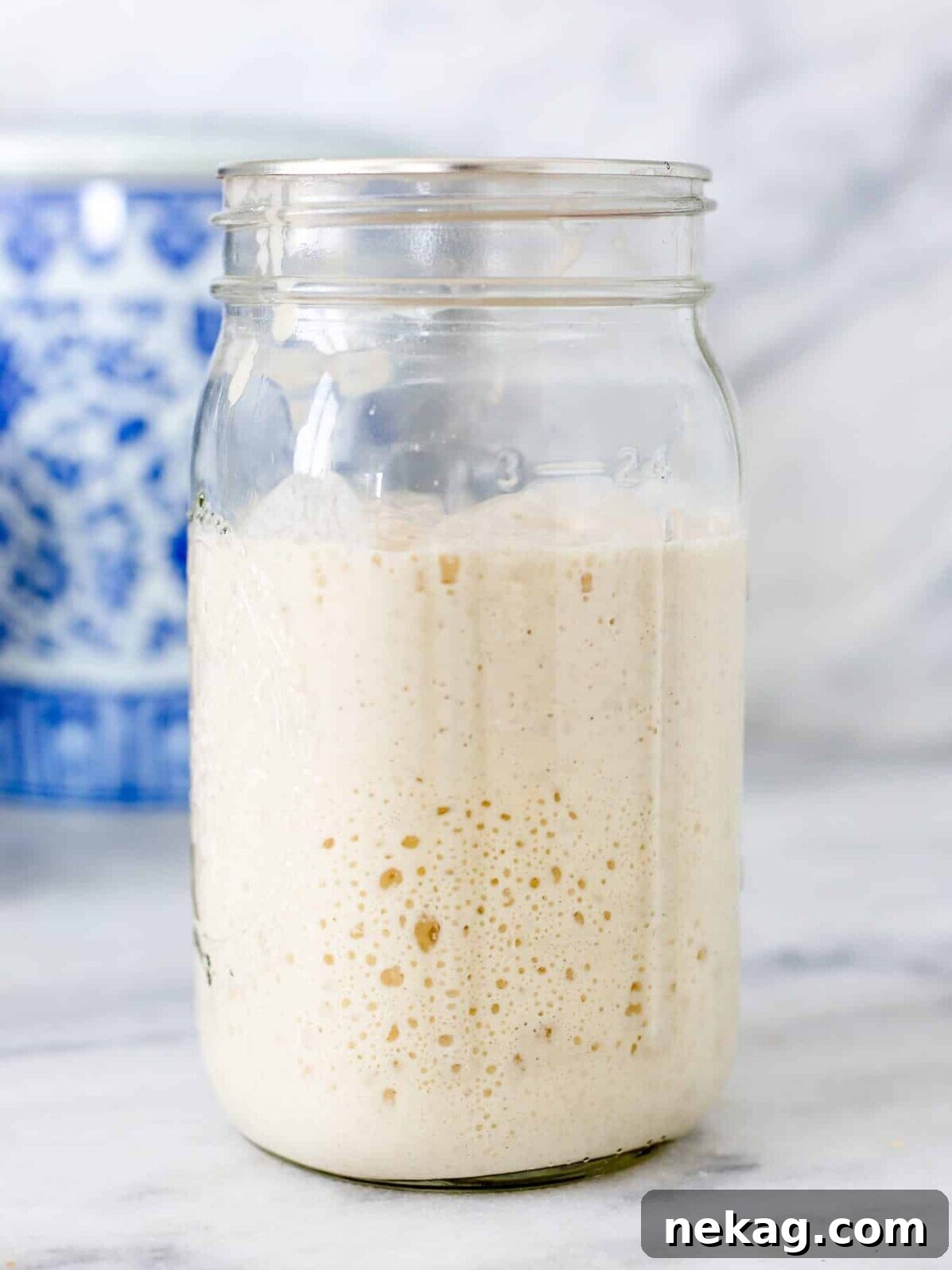 Cultivating Your Own Sourdough Starter 2 A beautiful, bubbly sourdough starter in a clear glass jar, ready for use in baking.
