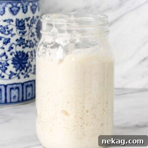 Sourdough Starter in a large mason jar, showing active bubbles and growth.