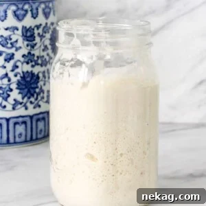 Sourdough Starter in a large mason jar, showing active bubbles and growth.