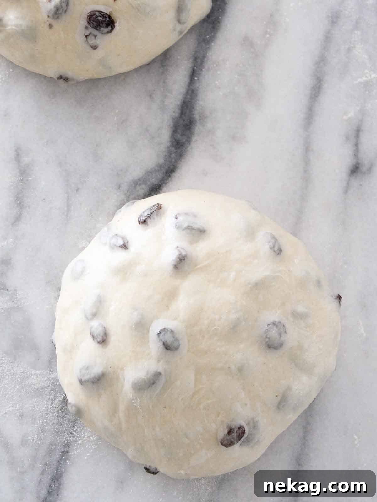 Sweet and Tangy Raisin Sourdough 5 Sourdough raisin bread dough expertly preshaped into two smooth, round boules, resting on a lightly floured surface.
