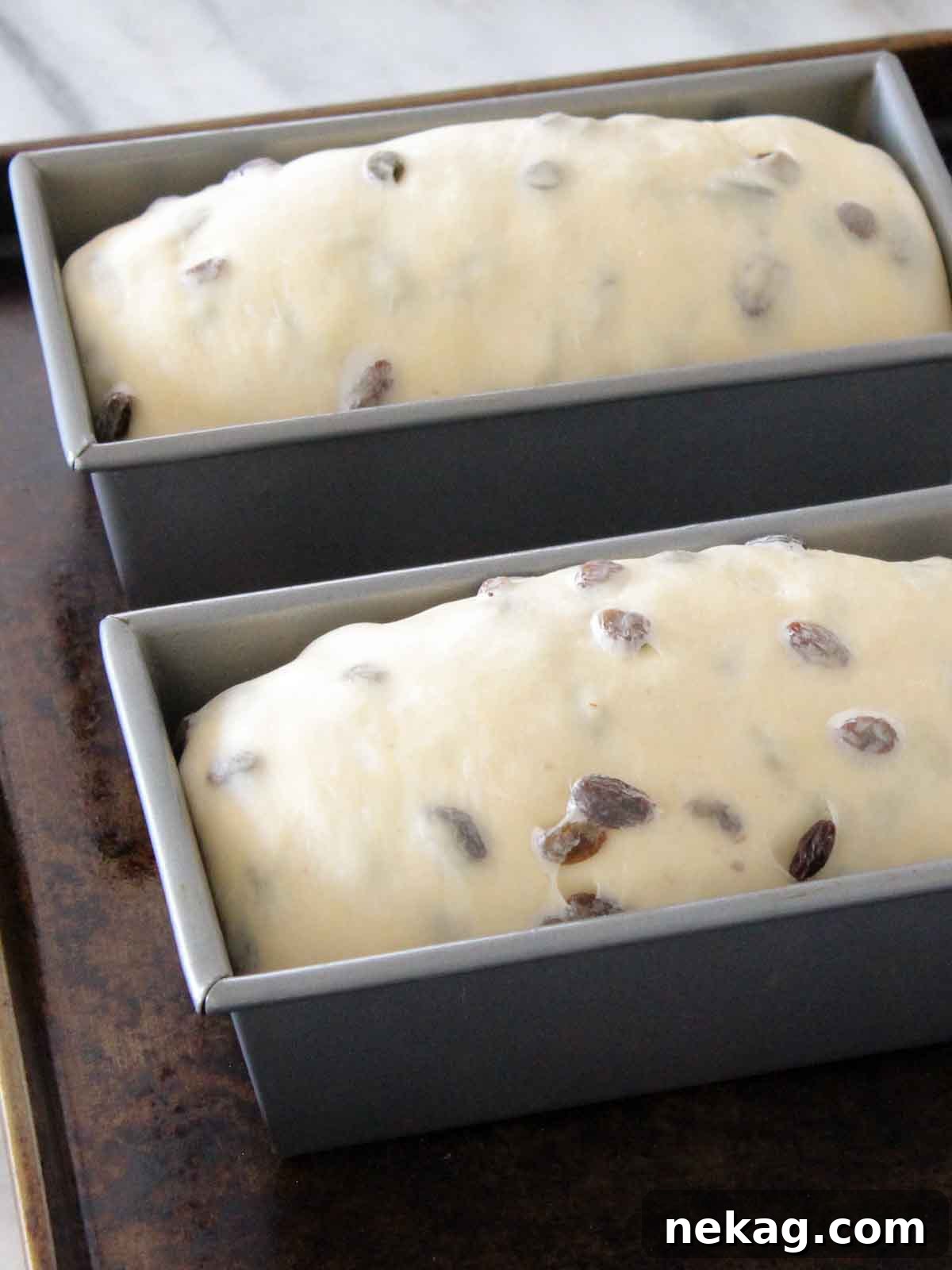 Sweet and Tangy Raisin Sourdough 6 Two sourdough raisin bread loaves meticulously shaped and placed into baking pans, prepared for their final proof.