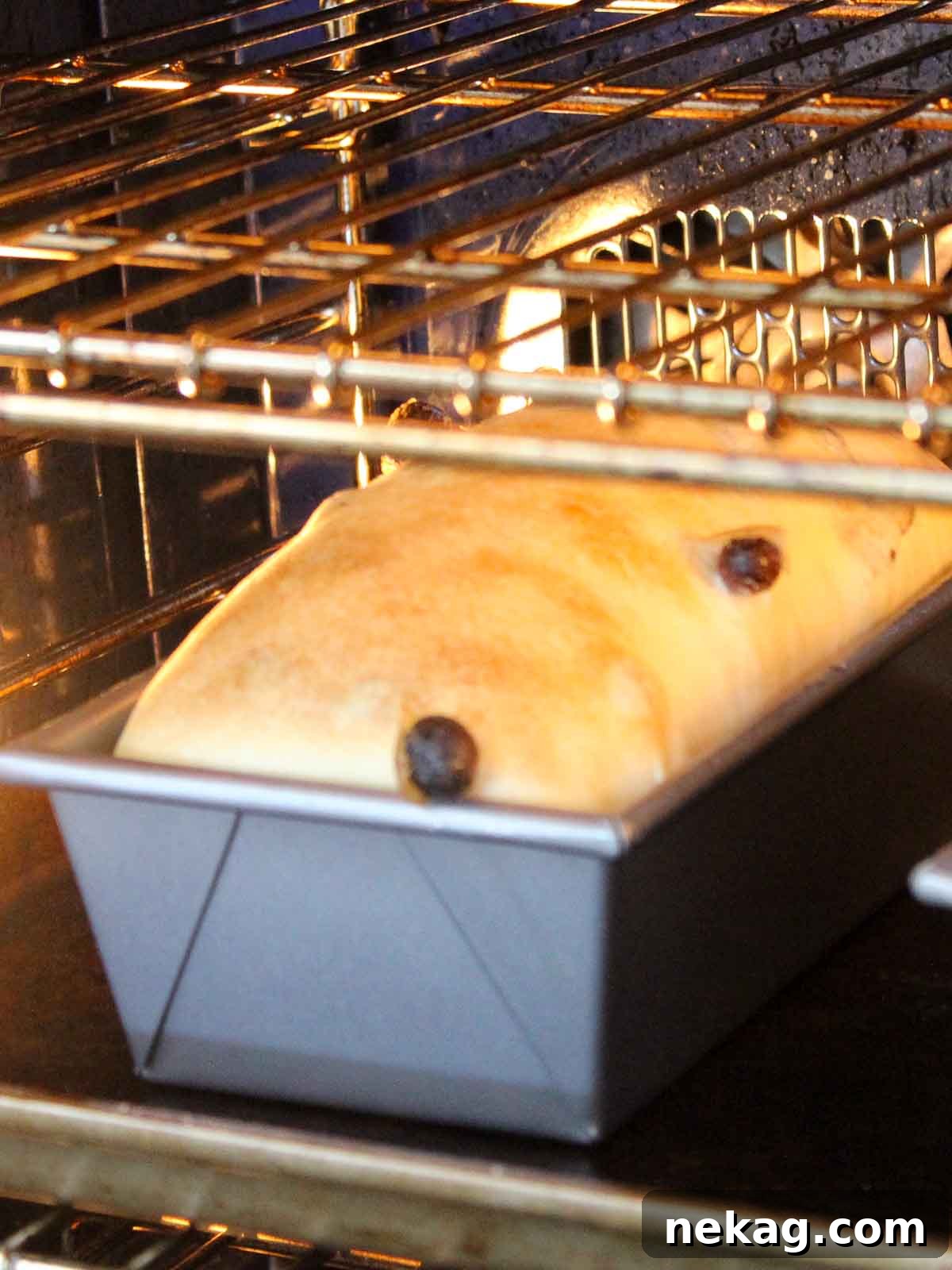 Sweet and Tangy Raisin Sourdough 7 A golden-brown sourdough raisin bread loaf baking to perfection inside a hot oven.