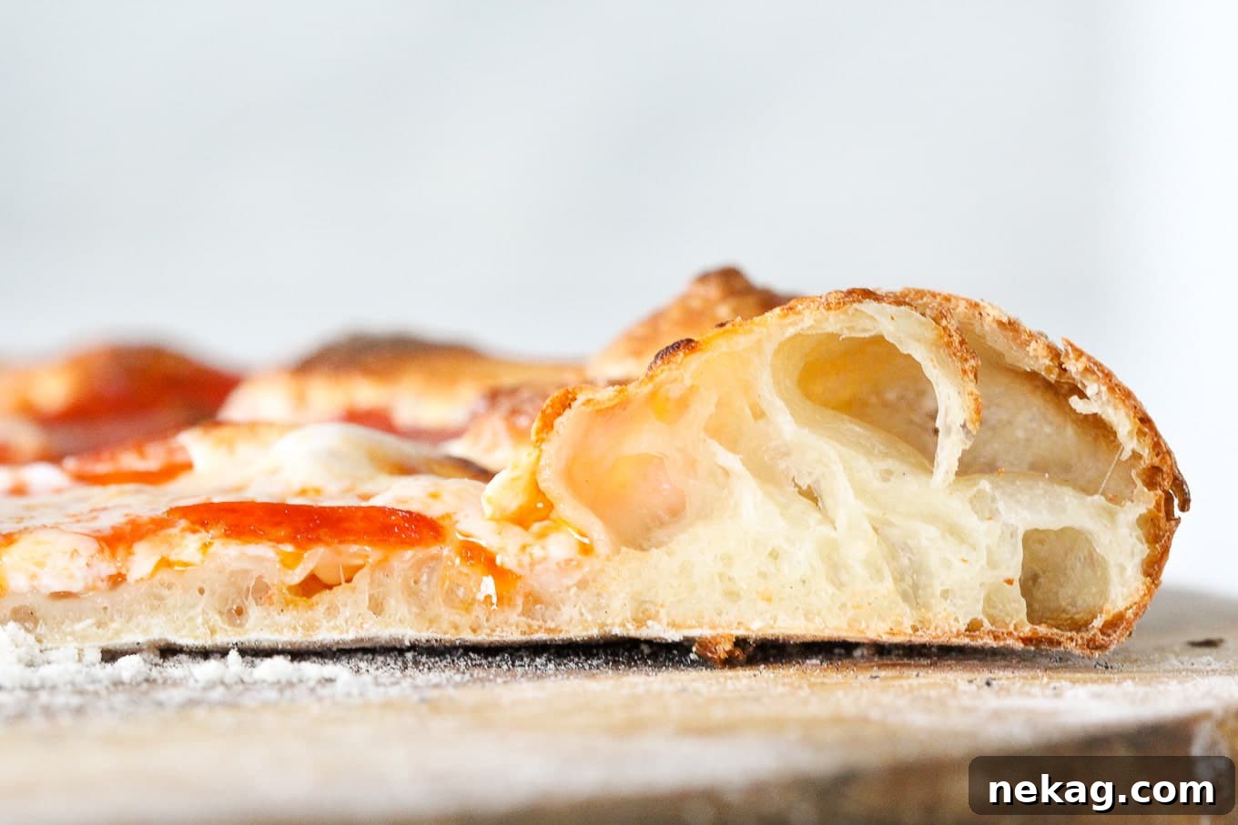 Ultimate Sourdough Pizza Dough Recipe 3 Interior of sourdough pizza crust showing an open, airy texture with large bubbles.