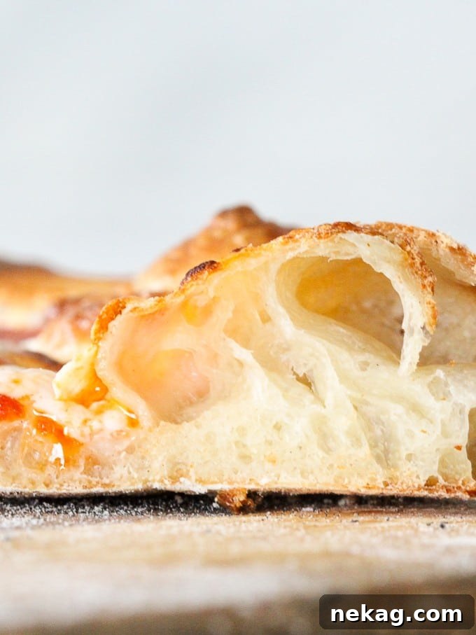 Ultimate Sourdough Pizza Dough Recipe 4 Crisp and airy sourdough crust with visible large bubbles after baking.