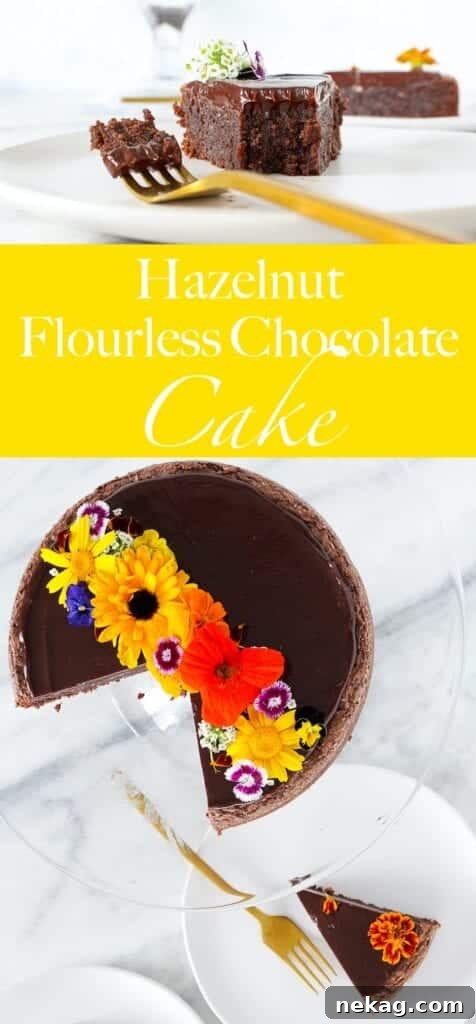 Pure Chocolate Indulgence 6 This Hazelnut flourless chocolate cake is rich and chocolatey