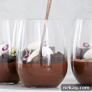 Dark Chocolate Pudding in a glass with whipped cream and a spoon, ready to be enjoyed.