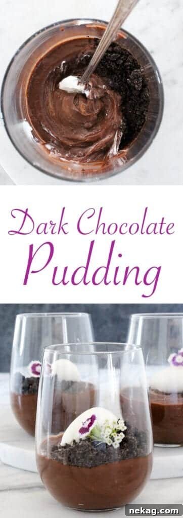 Rich Velvety Chocolate Pudding 6 A rich, creamy dark chocolate pudding in a serving glass.