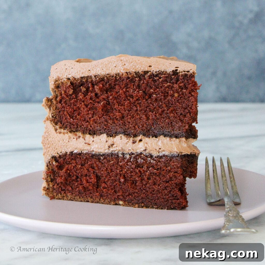 Velvet Chocolate Mayonnaise Cake 2 A slice of Chocolate Mayonnaise Cake showing its tender layers and silky chocolate cream cheese buttercream, ready to be enjoyed.