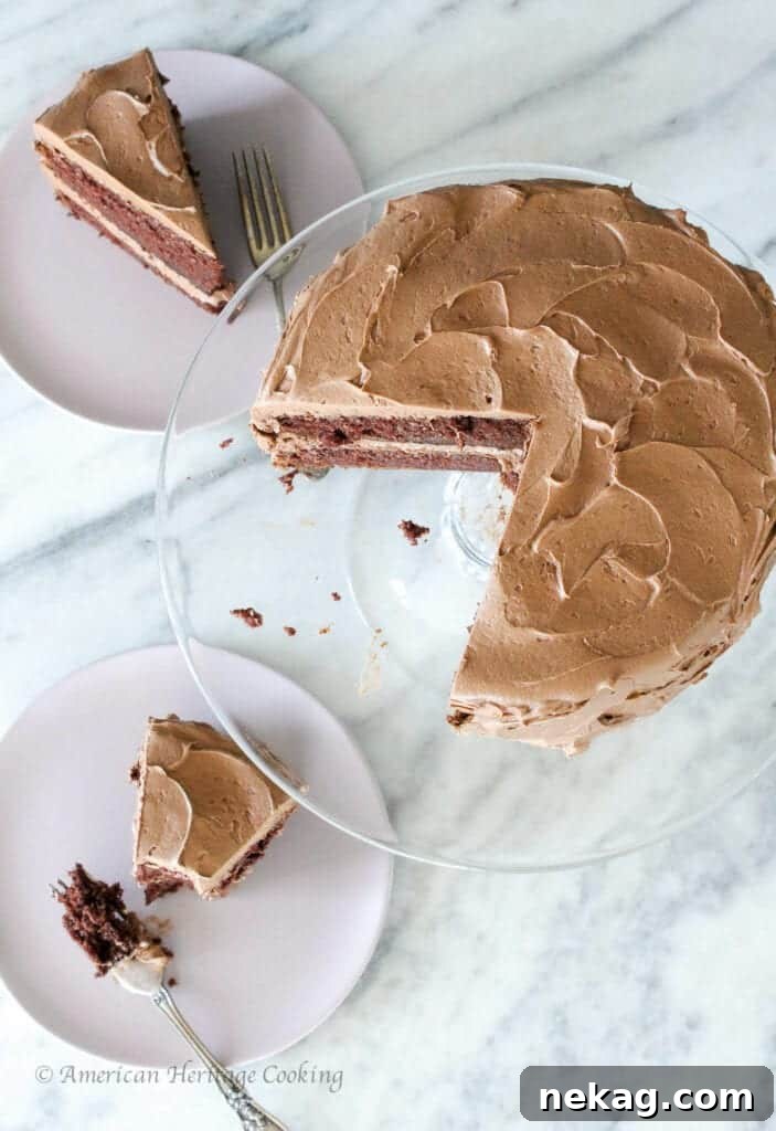 Velvet Chocolate Mayonnaise Cake 4 A beautifully decorated chocolate mayonnaise cake with rich chocolate cream cheese frosting, ready to be served.