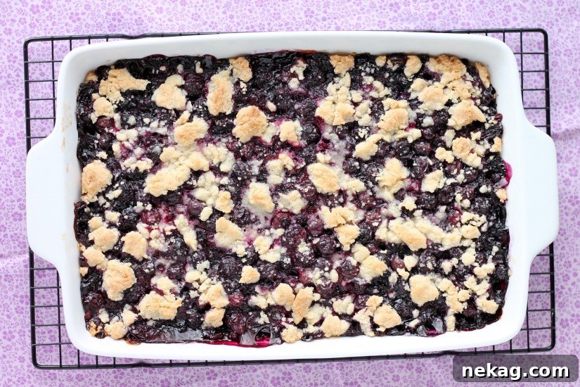 Blueberry Bliss Bars 3 Close-up of baked Blueberry Crumb Bars in a pan, showcasing the crumbly texture and fruit filling.