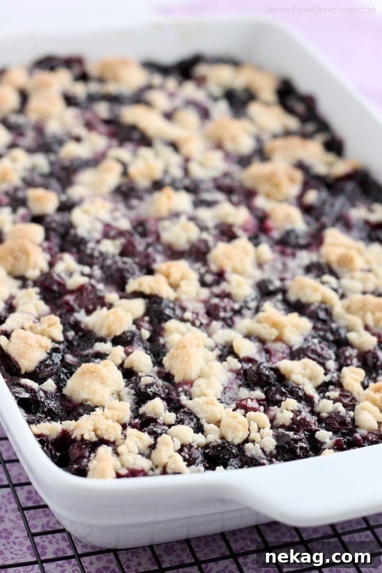 Blueberry Bliss Bars 4 Fresh blueberries waiting to be incorporated into the crumb bar recipe, highlighting their vibrant color.