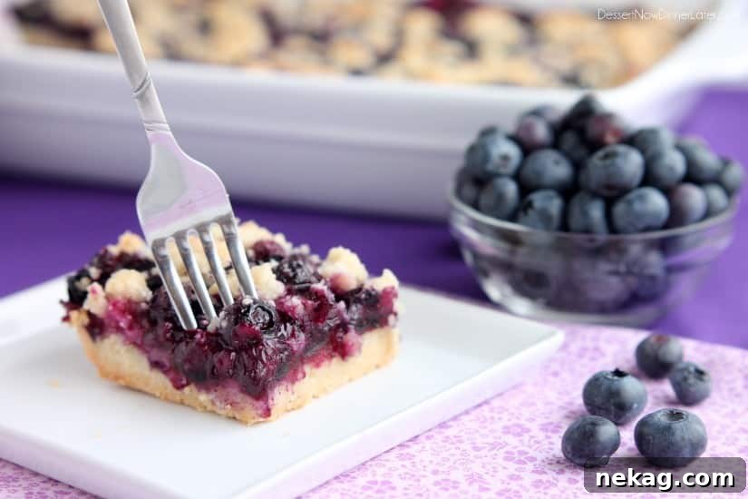 Blueberry Bliss Bars 6 Baked Blueberry Crumb Bars cooling on a wire rack, ready to be cut and served.
