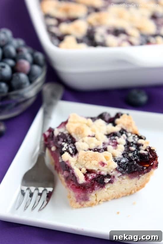 Blueberry Bliss Bars 7 A slice of Blueberry Crumb Bar, showing the thick blueberry layer and crumbly crust and topping.