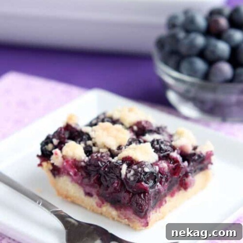 Blueberry Crumb Bars from DessertNowDinnerLater.com