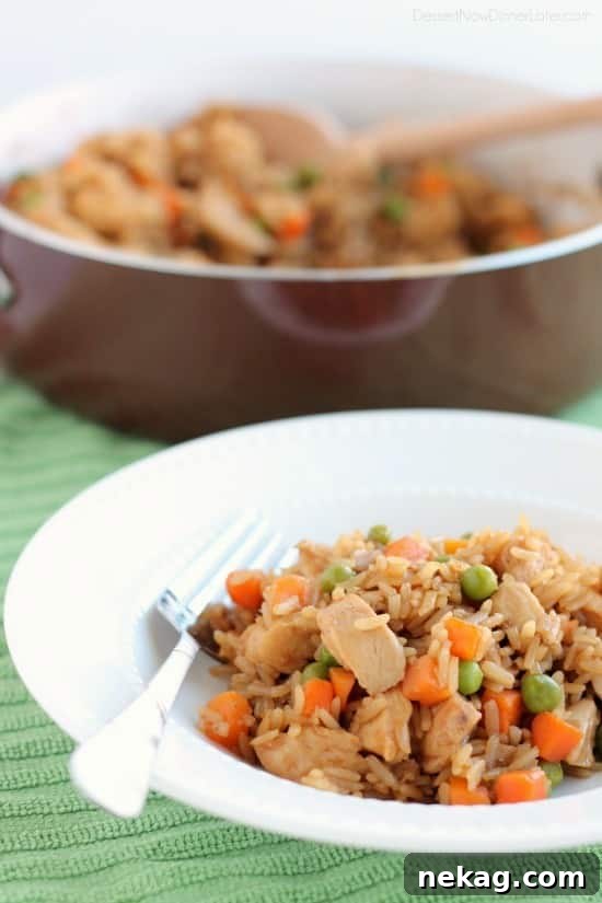 Teriyaki Chicken and Rice from DessertNowDinnerLater.com