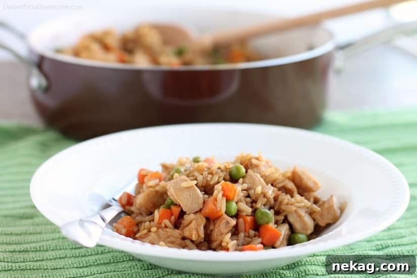 Teriyaki Chicken and Rice from DessertNowDinnerLater.com