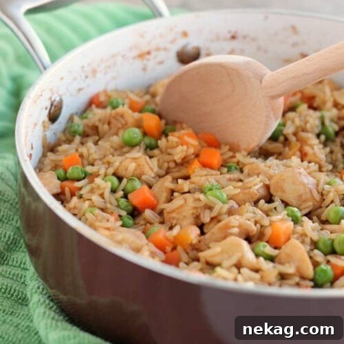 Teriyaki Chicken and Rice from DessertNowDinnerLater.com