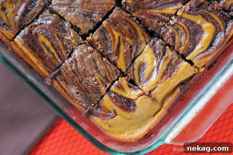 Overhead shot of freshly baked Pumpkin Swirl Brownies in a square pan.