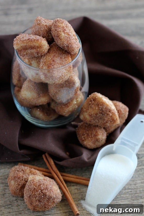 Sweet Cinnamon and Savory Garlic Parmesan Pretzel Bites 4 Delicious Cinnamon Sugar Pretzel Bites arranged on a serving plate, dusted with sweet spice.